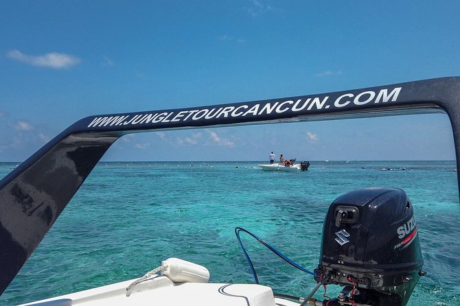 Speedboat and Snorkel Tour: Single Passenger Boat - Tour Highlights