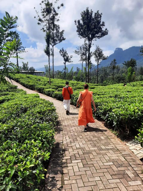 Sri Lanka: 8-Day Sightseeing Tour With Airport Transfers - Accommodations and Amenities