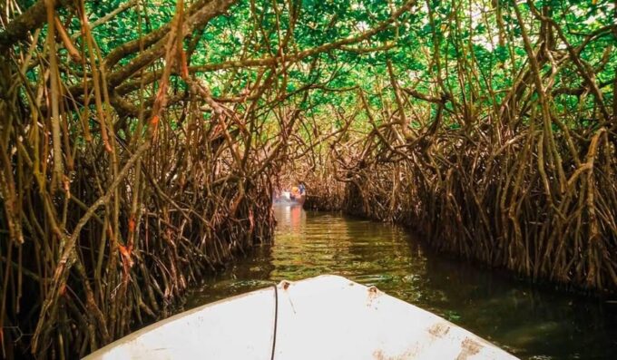 Sri Lanka: Discovery Tour to South Coast to Culture Capital - Scenic Views and Photography
