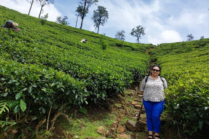 Sri Lanka Week in Paradise - Pricing and Booking Details