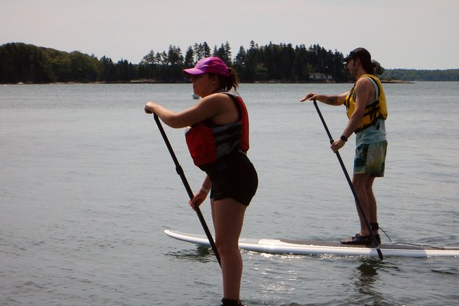 Stand up Paddleboard Tour With Complimentary Oyster Tasting - Frequently Asked Questions