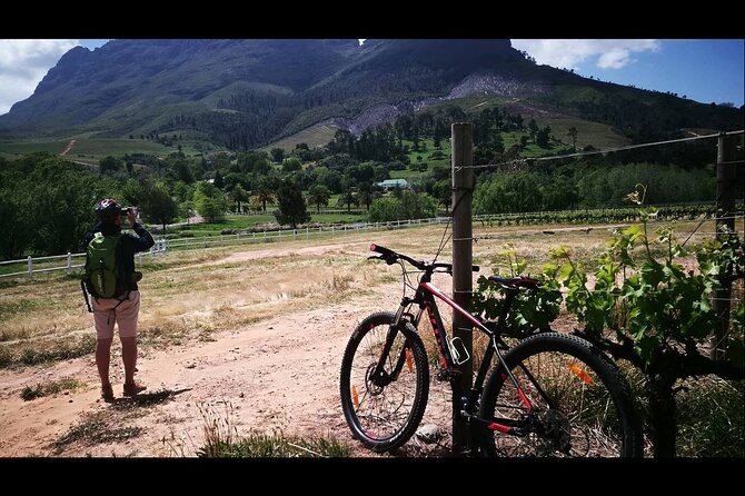 Stellenbosch Private E-Bike & Wine Tour - Customizing Your Tour Experience