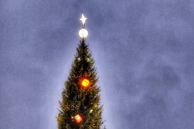 Stockholm Old Town Magic Christmas Walk - Meeting Point and Booking Information