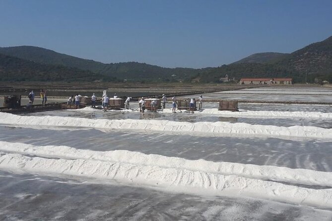 Ston Food Tour With Boat Ride From Dubrovnik - Overall Ratings and Pricing Details