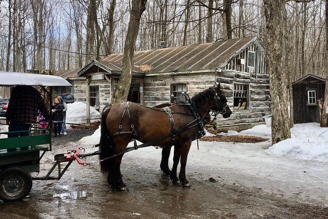 Sugar Shack (Feb to May) Maple Syrup Private Day Tour With Lunch From Montreal - Culinary Highlights