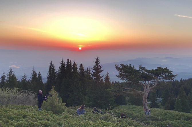 Sunrise Above Sofia - Sum Up