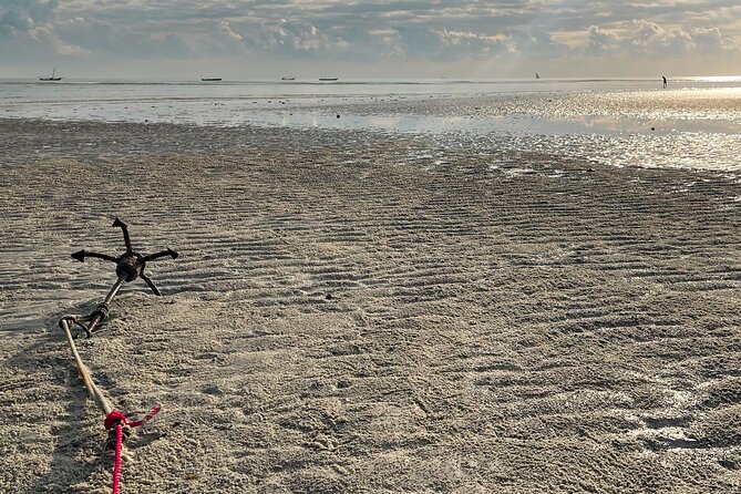Sunrise Beach Walk With Picnic Breakfast Activity - Customer Reviews