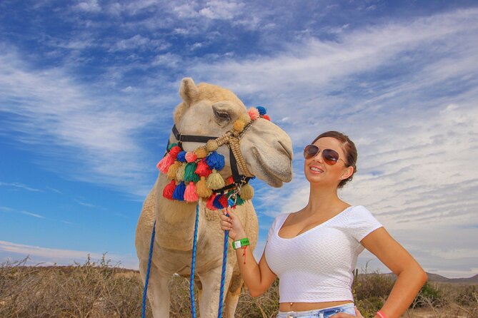 Sunset Beach Camel Ride With Mexican Buffet and Tequila Tasting - Customer Feedback