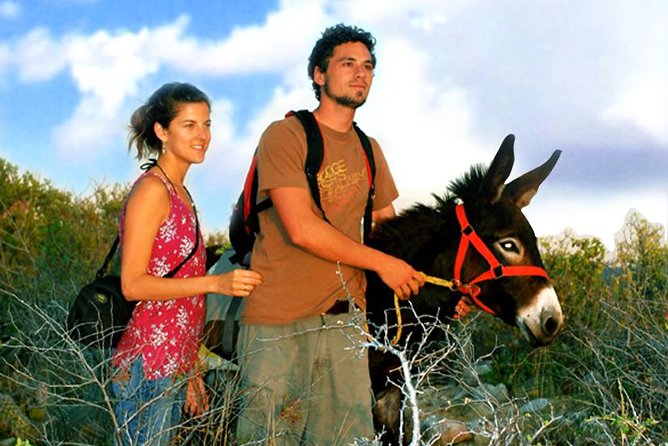 Sunset Pacific Donkey Hiking Tour - Frequently Asked Questions