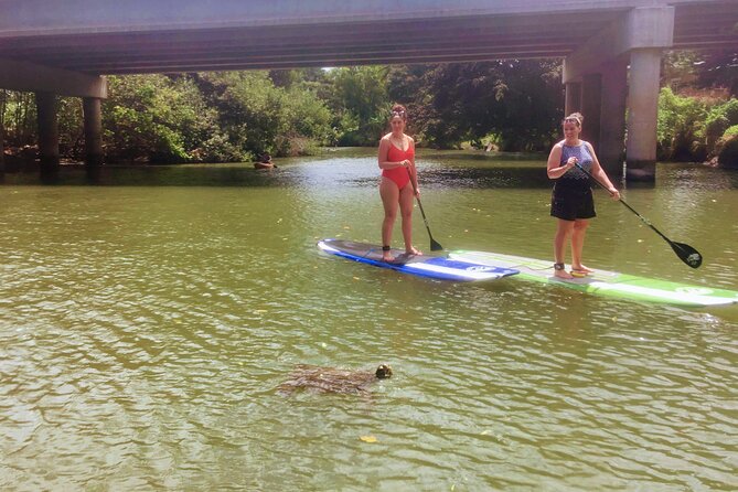 Sunset Stand up Paddle With Photos and Turtles - Exploring the Natural Habitat