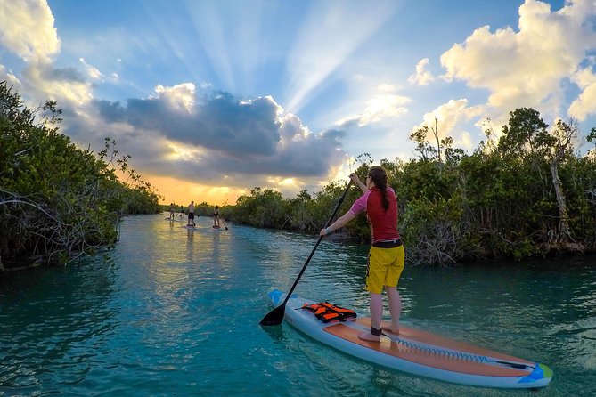 Sunset SUP Tour - Experience Highlights