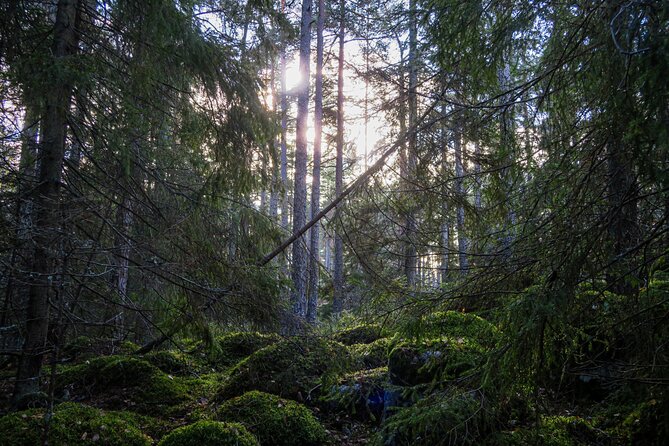 Survival Hike and Tour of Tyresta National Park - Customer Reviews and Ratings