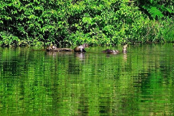 Tambopata (Puerto Maldonado) 4 Days - Included Amenities and Gear