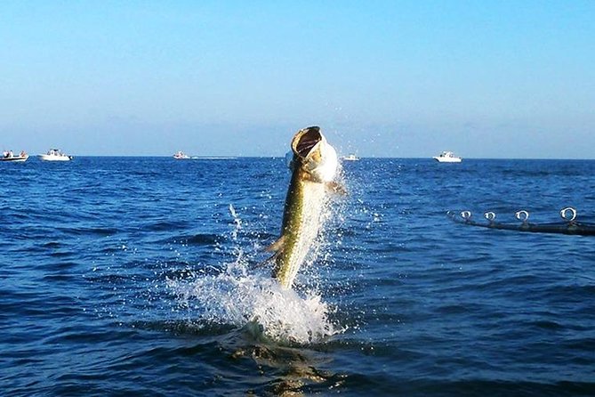 Tampa Bay Inshore Fishing Charters - Tips for a Successful Charter