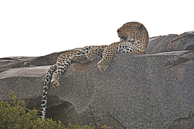 Tanzania Experience Safari and Tours - Frequently Asked Questions