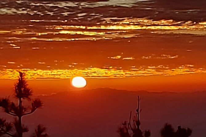 TEIDE NIGHT Stargazing Tour Review - Since You Asked