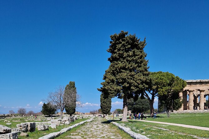 Temples of Paestum and Pompeii Tour Review - Good To Know and Considerations