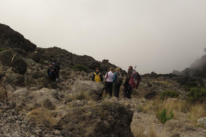 The Best & Unique Kilimanjaro Hiking Tour 7 Days Machame Route - Booking and Cancellation Policy