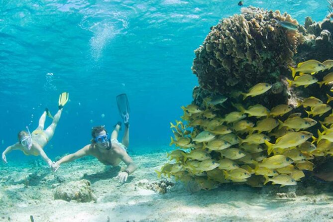The Cielo Palancar and Columbia Snorkeling Tour - Preparing for the Tour