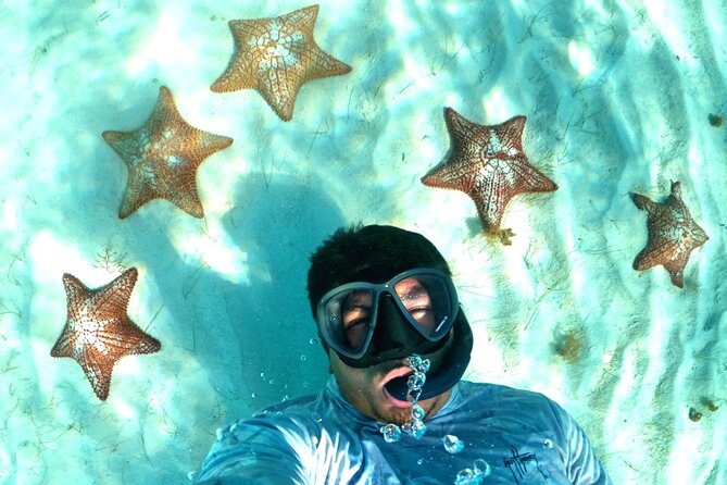 The Cozumel Turtle Sanctuary Snorkel Tour - Preparing for the Tour