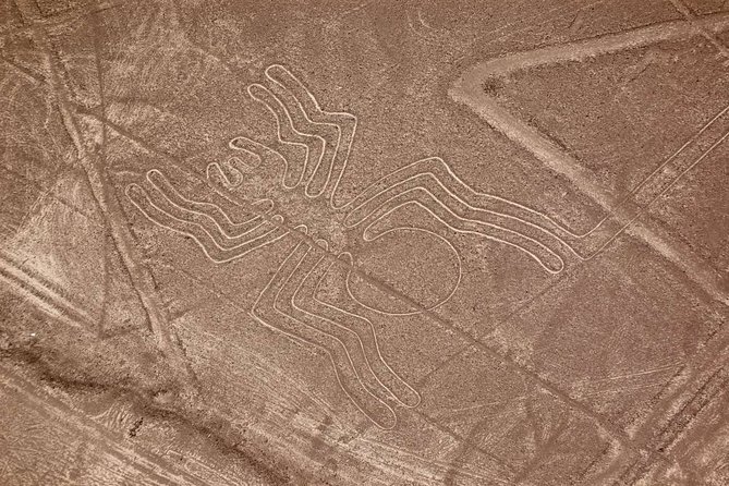 The Enigmatic Nazca Lines & Huacachina Oasis - Private Trip - Booking and Logistics