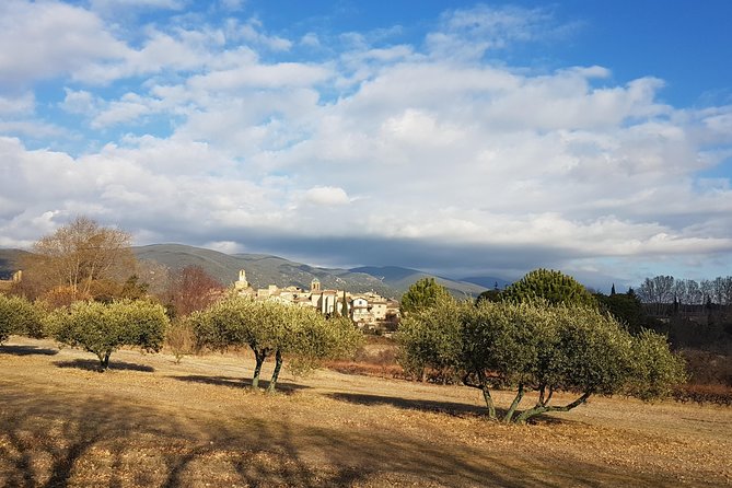 The Lavender Country - Private Tour With a Local Guide - Cancellation and Payment Policies