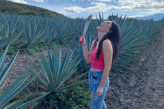 The Mezcal Journey - Oaxacan Culinary Delights