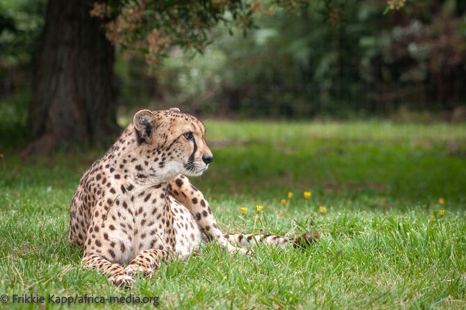 The Private Wildlife Tour - Booking and Cancellation Policy