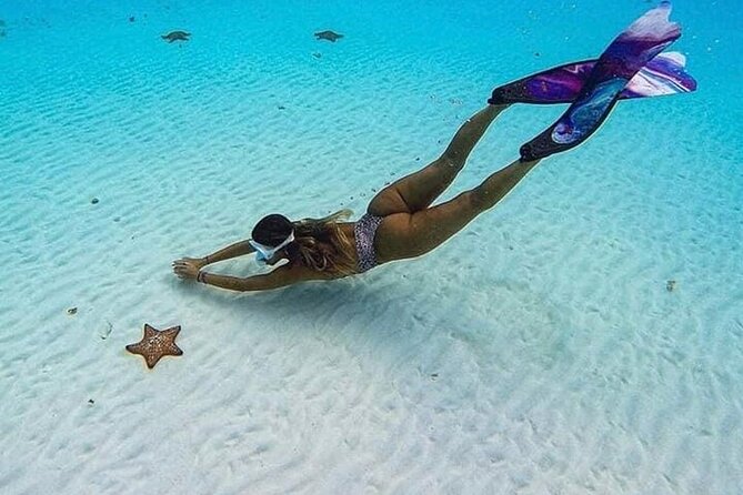 The Sky Cozumel Snorkeling Tour - All-Inclusive - Frequently Asked Questions