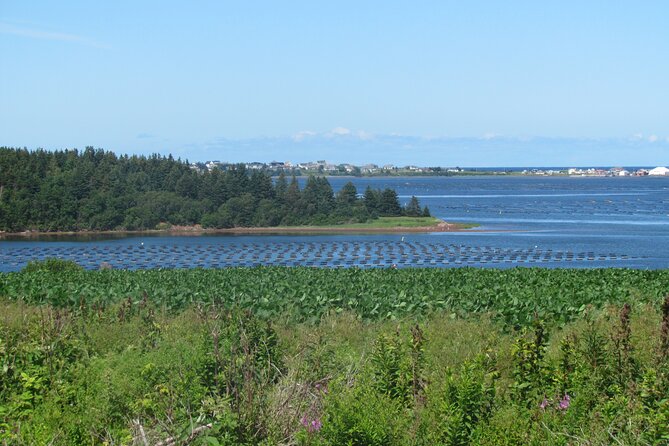 The Ultimate Anne of Green Gables Private Tour - Ideal for Fans