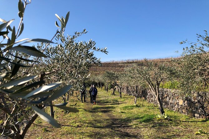 The White Lotus Experience • Sicily (Private Tour) - Customer Reviews