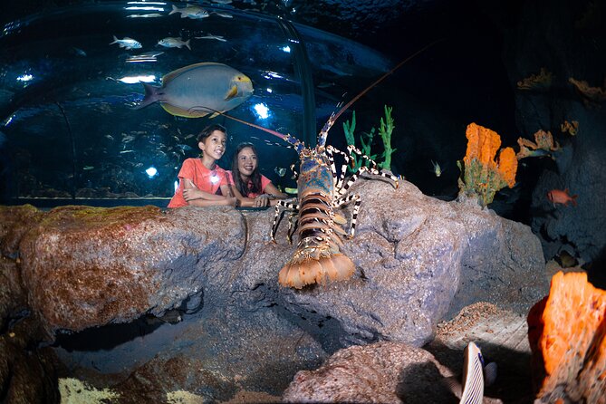 Ticket to the Largest Oceanarium of the Mascarene Islands - Planning Your Visit