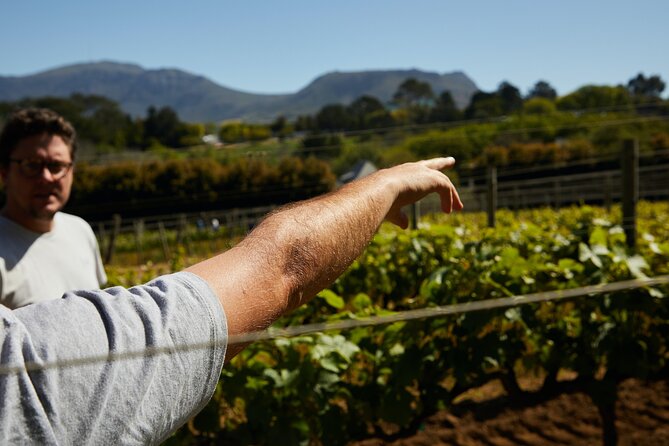 Top 3 Cape Town Wineries Half Day Private Tour - Booking and Pricing Details