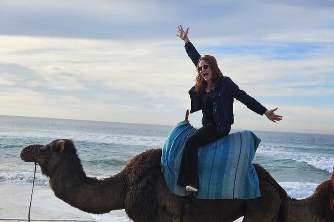 Top VIP Private Tour of Tangier From Estepona All Inclusive - Tangier Medina and Casbah Tour