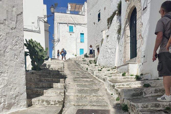 Tour: Alberobello, Locorotondo and Ostuni, Plus Rich Tasting - About the Operator