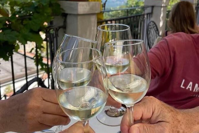 Tour From Positano to Amalfi Coast : Luxury Tour, Secret Vineyard - Traveler Experiences
