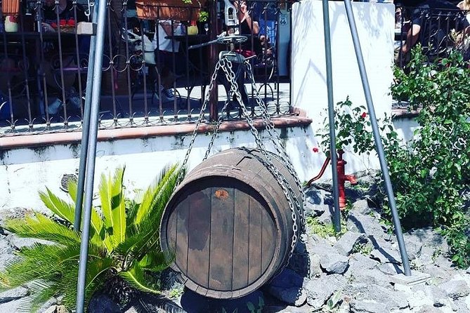 Tour From Sorrento to Pompeii and Winery - Sum Up