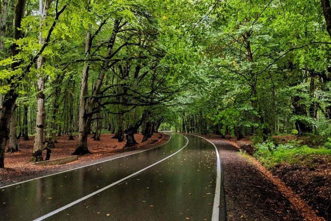 Tour in the Forest of Sabadur and the Chronicler of Georgia. - Exploring Georgias Historical Sites