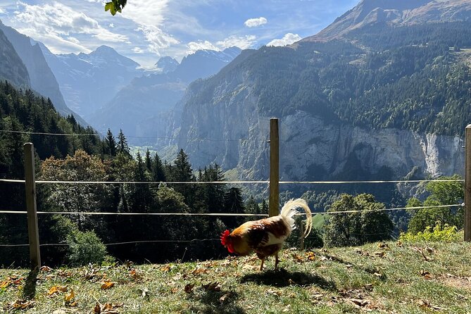 Tour in Wengen - Getting to Wengen