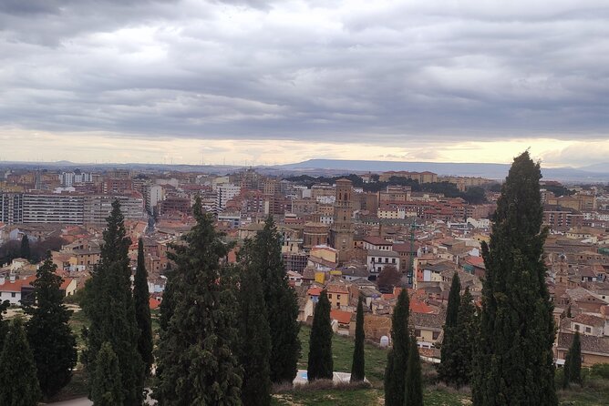 Tour of Tudela and the Great Desert of Europe. - Tour Highlights and Ratings