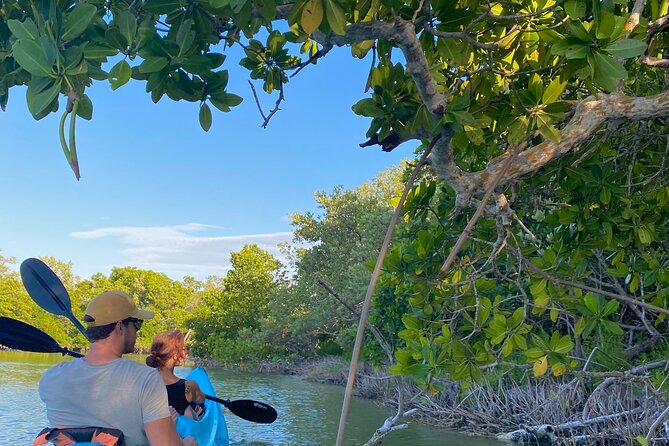 Tour the Mangroves in Kayak by Isla Holbox - About Isla Holbox