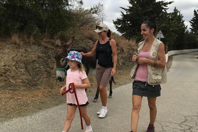 Tour the Sanctuary and Walk With the Donkeys and Share Their Love - Memorable Experiences Shared