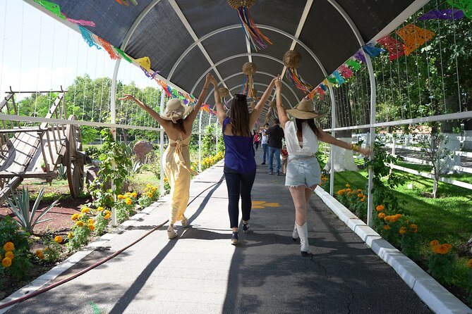 Tour to Lake Chapala, MAGIC TOWN of Ajijic From Guadalajara - Tequila Tasting Experience
