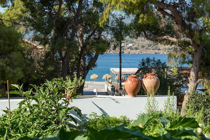 Traditional Greek Cooking Class and Organic Lunch on Poros - Why Choose This Cooking Class