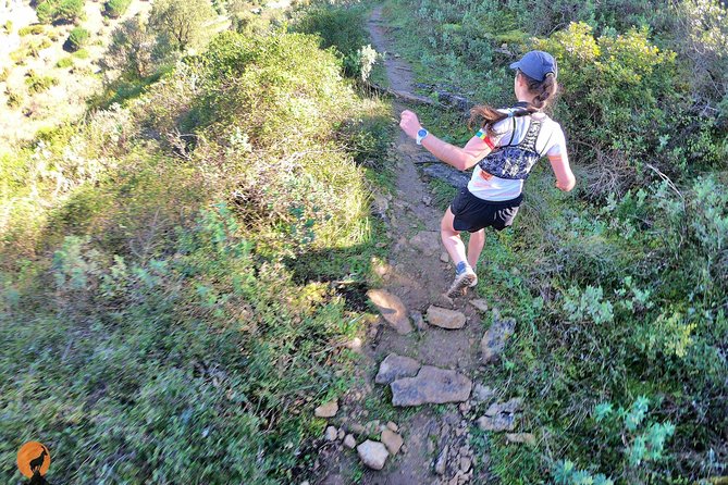 Trail Running in Coimbra - Sum Up