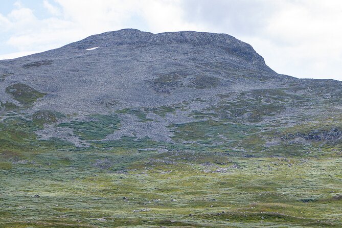 Train and Bus Tour From Bergen to Oslo via Hardangervidda/Fjord - About the Tour Company