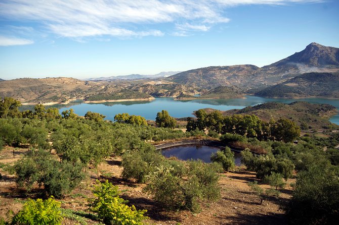 Transfer From Seville to Granada With a Stop in Ronda - Frequently Asked Questions