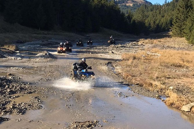 Transylvania Mountains ATV Day-Tour Plus Two Nights in Hotel - Customer Feedback and Ratings