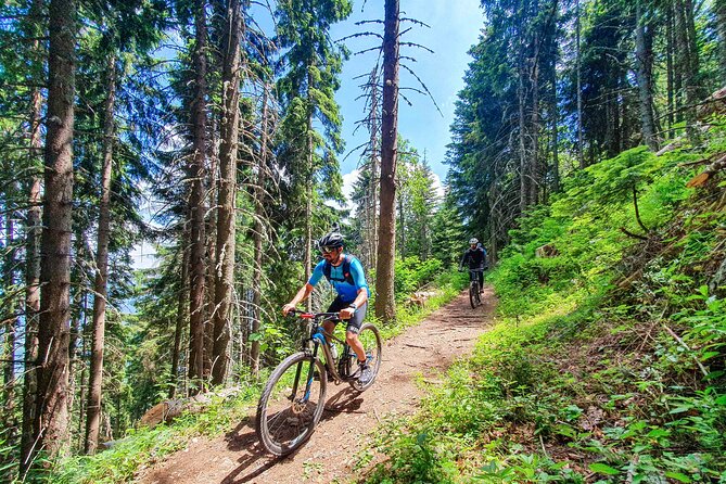 Trebevic Mountain Biking Tour From Sarajevo - Bobsleigh Track - Alternative Transport Options