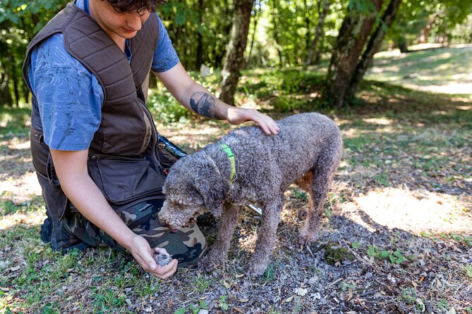 Truffle Lunch & Hunting Experience in San Gimignano - Accessibility and Logistics